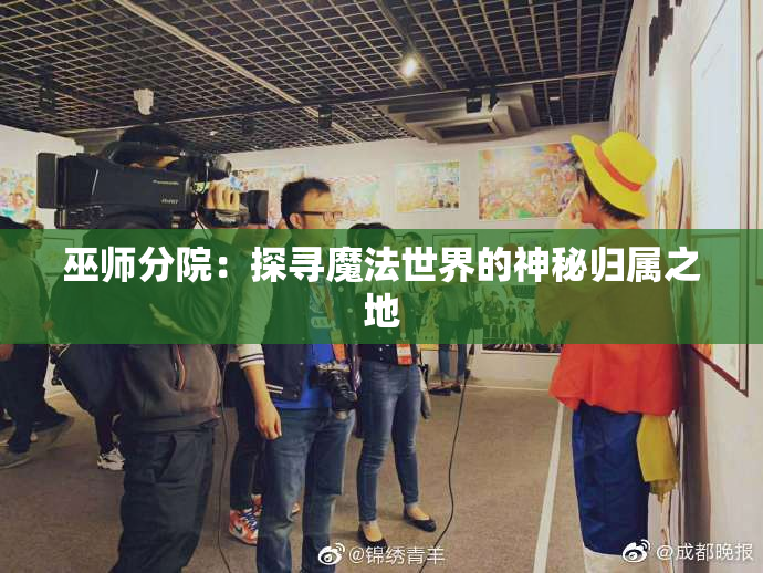 巫师分院：探寻魔法世界的神秘归属之地