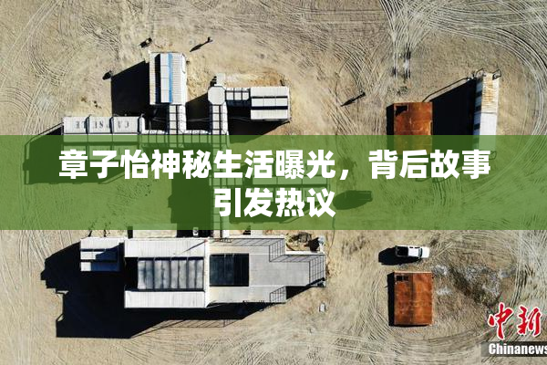 章子怡神秘生活曝光，背后故事引发热议