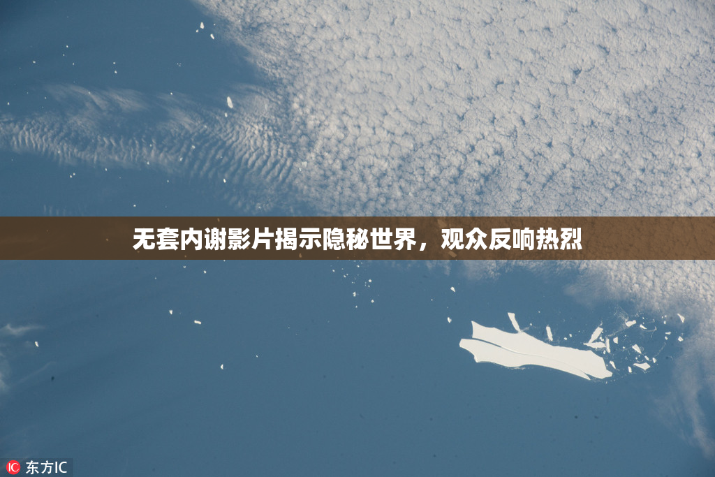 无套内谢影片揭示隐秘世界，观众反响热烈