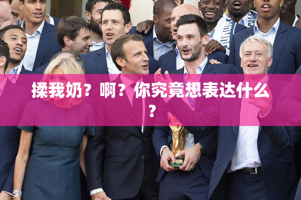 揉我奶？啊？你究竟想表达什么？