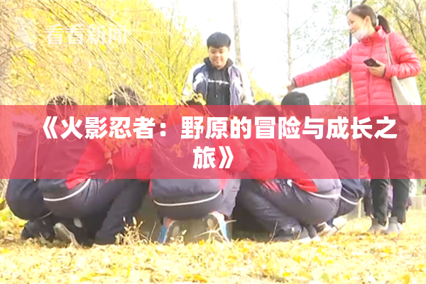 《火影忍者：野原的冒险与成长之旅》