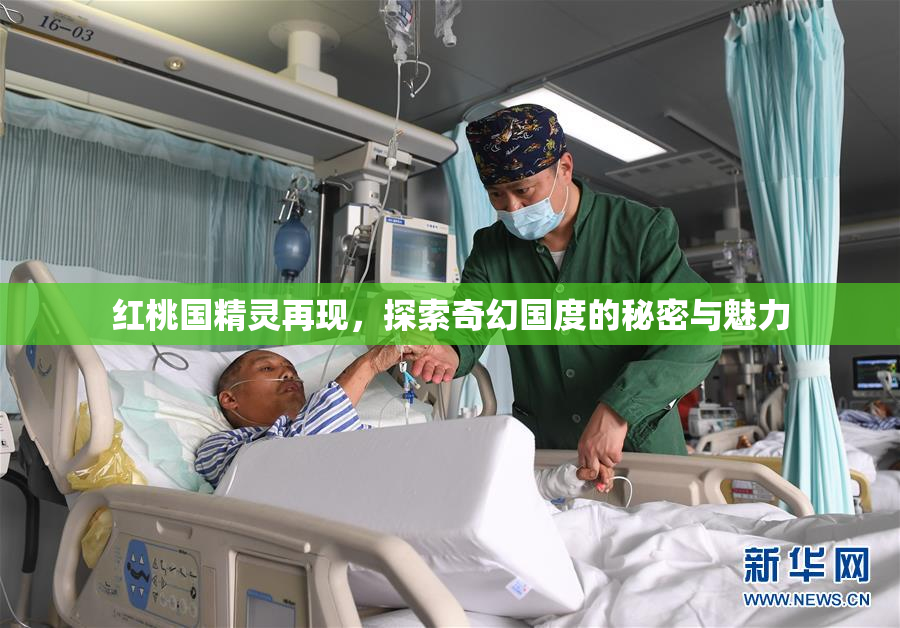 红桃国精灵再现，探索奇幻国度的秘密与魅力