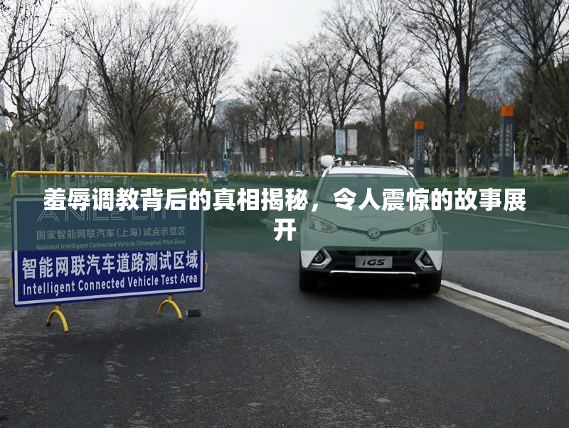 羞辱调教背后的真相揭秘，令人震惊的故事展开