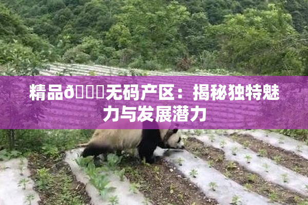 精品🌃无码产区：揭秘独特魅力与发展潜力