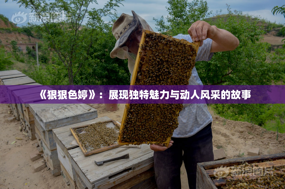 《狠狠色婷》：展现独特魅力与动人风采的故事