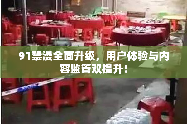 91禁漫全面升级，用户体验与内容监管双提升！