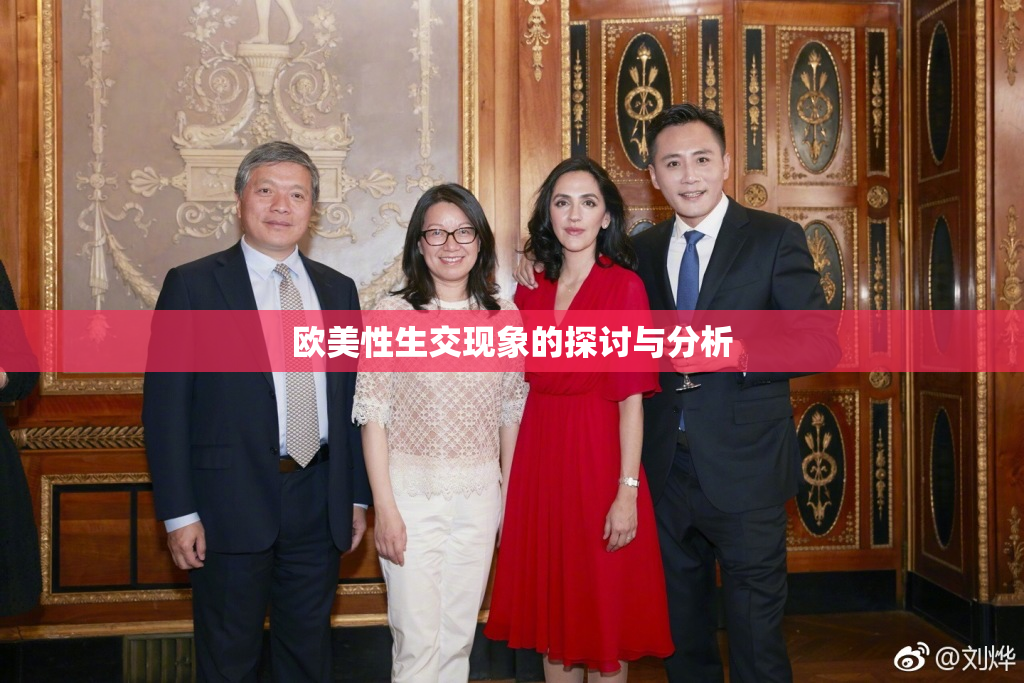 欧美性生交现象的探讨与分析