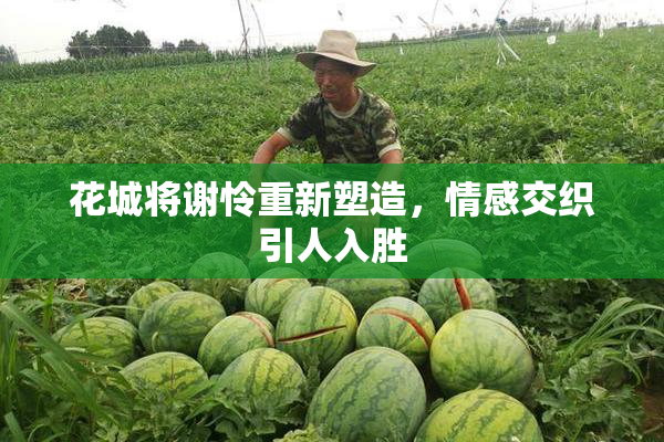 花城将谢怜重新塑造，情感交织引人入胜