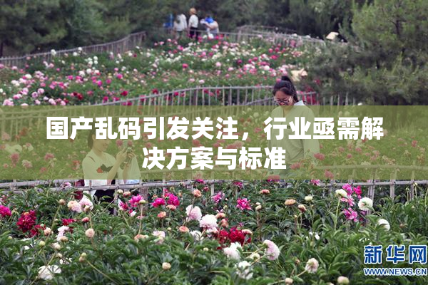 国产乱码引发关注，行业亟需解决方案与标准