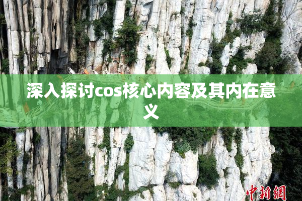 深入探讨cos核心内容及其内在意义