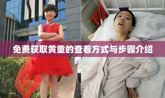 免费获取黄重的查看方式与步骤介绍