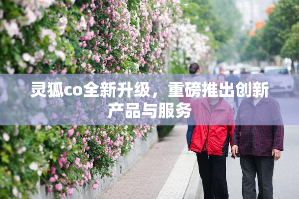 灵狐co全新升级，重磅推出创新产品与服务