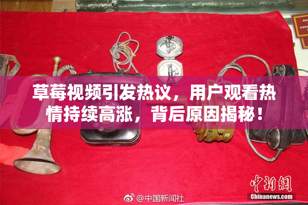 草莓视频引发热议，用户观看热情持续高涨，背后原因揭秘！