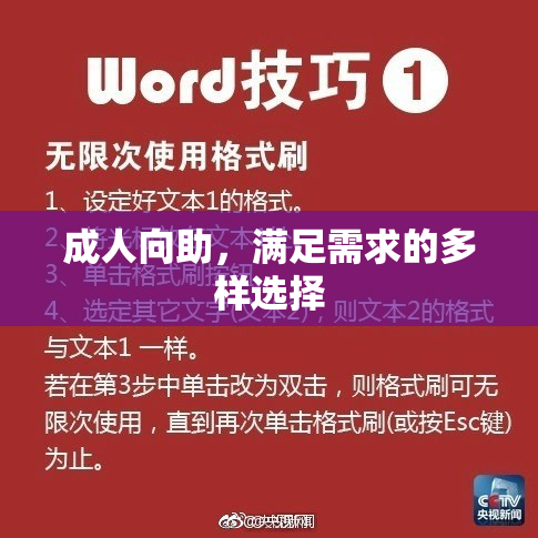 成人向助，满足需求的多样选择