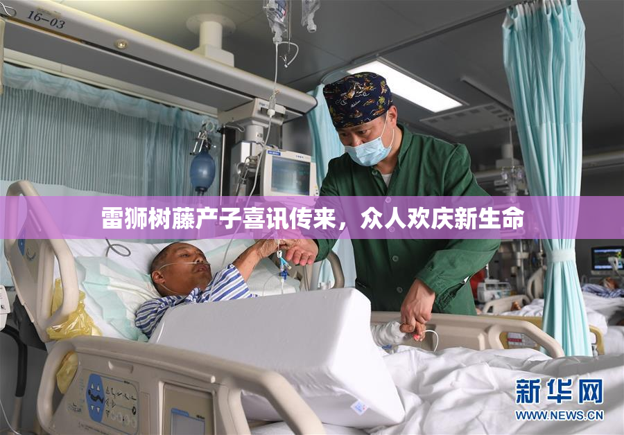 雷狮树藤产子喜讯传来，众人欢庆新生命