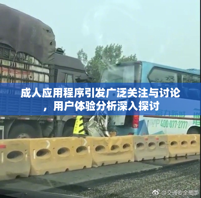 成人应用程序引发广泛关注与讨论，用户体验分析深入探讨