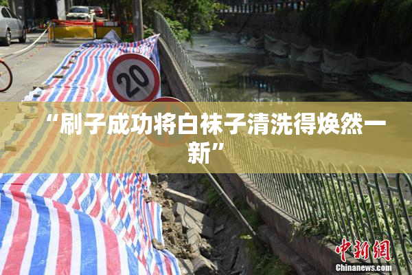 “刷子成功将白袜子清洗得焕然一新”