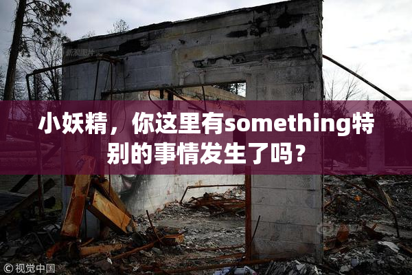 小妖精，你这里有something特别的事情发生了吗？