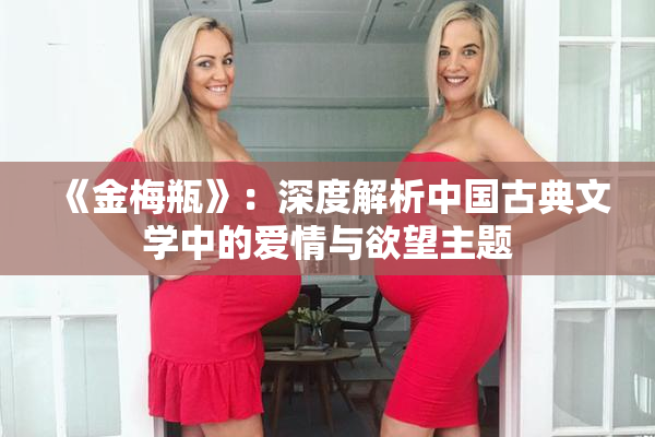 《金梅瓶》：深度解析中国古典文学中的爱情与欲望主题