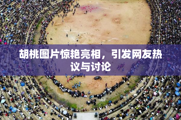 胡桃图片惊艳亮相，引发网友热议与讨论