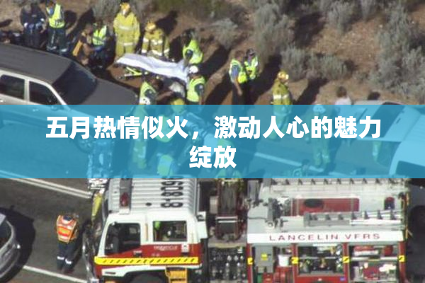 五月热情似火，激动人心的魅力绽放