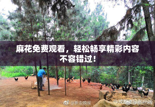 麻花免费观看，轻松畅享精彩内容不容错过！