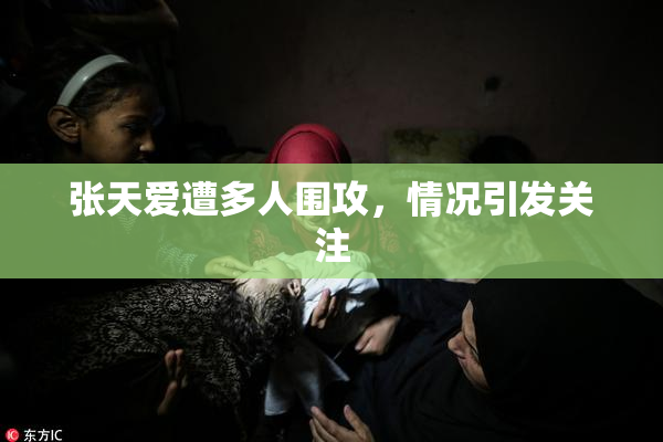 张天爱遭多人围攻，情况引发关注