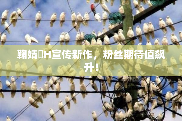 鞠婧祎H宣传新作，粉丝期待值飙升！