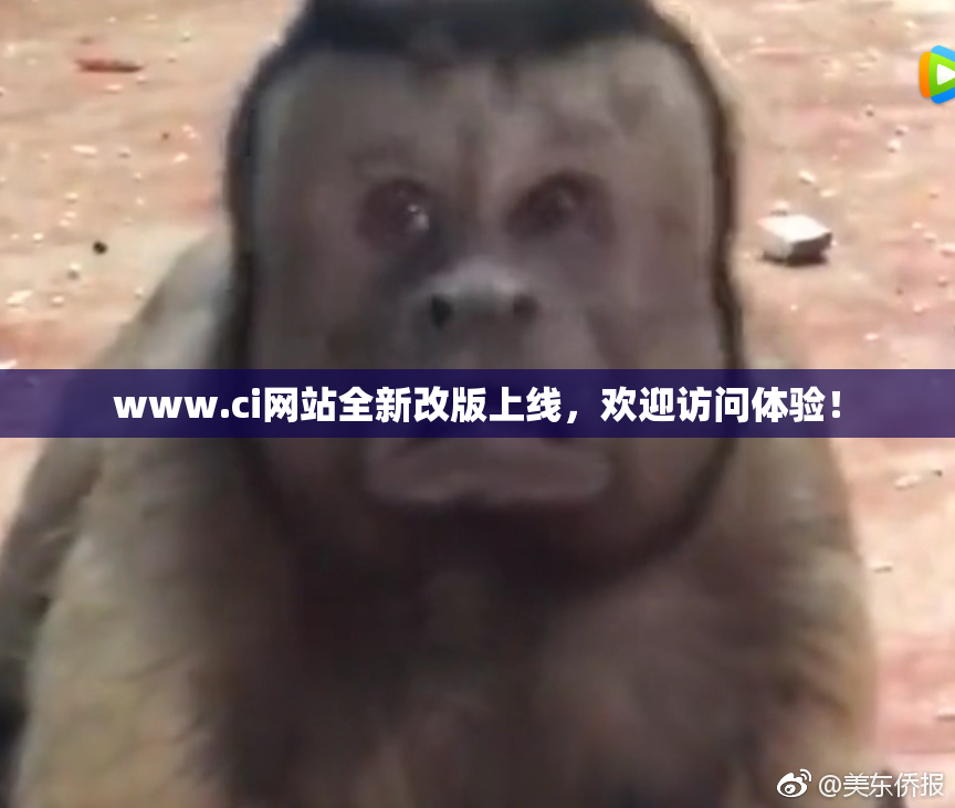 www.ci网站全新改版上线，欢迎访问体验！