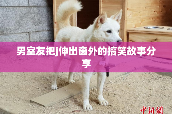 男室友把j伸出窗外的搞笑故事分享