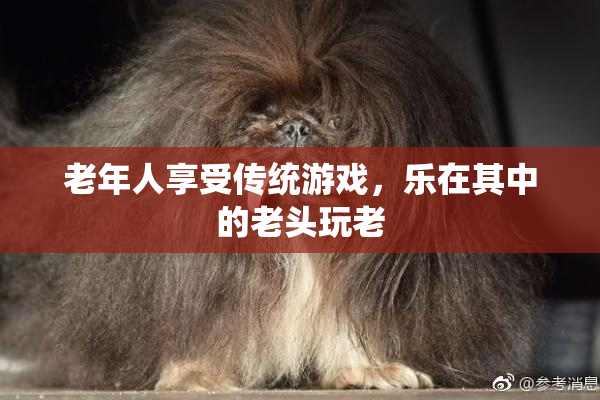 老年人享受传统游戏，乐在其中的老头玩老