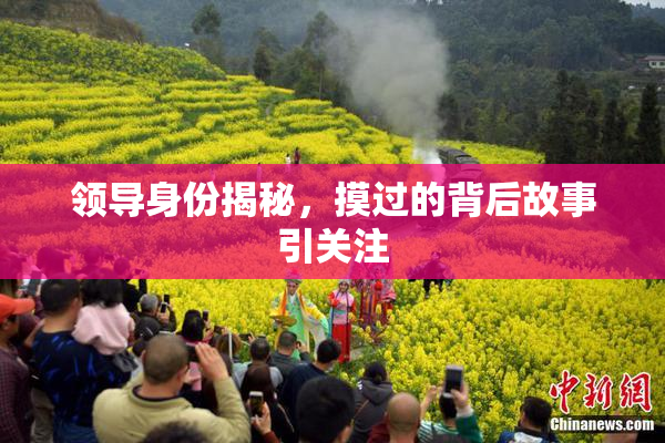领导身份揭秘，摸过的背后故事引关注