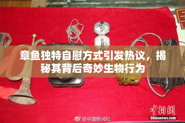 章鱼独特自慰方式引发热议，揭秘其背后奇妙生物行为