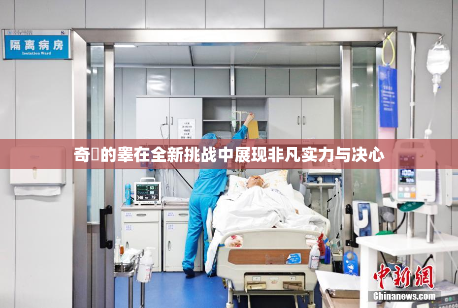 奇犽的睾在全新挑战中展现非凡实力与决心