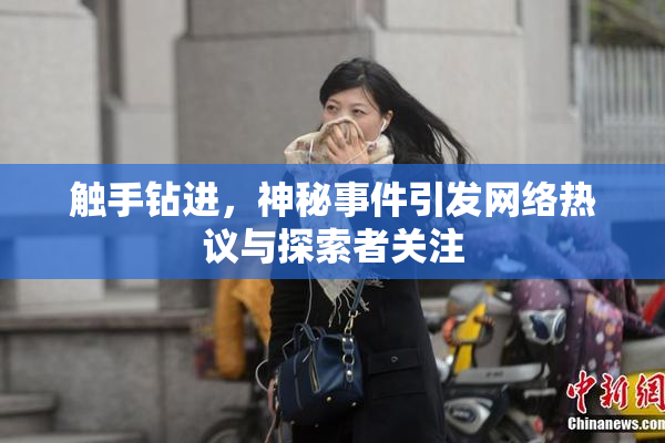 触手钻进，神秘事件引发网络热议与探索者关注