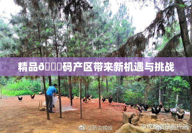 精品🈚码产区带来新机遇与挑战