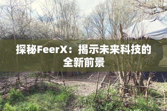 探秘FeerX：揭示未来科技的全新前景