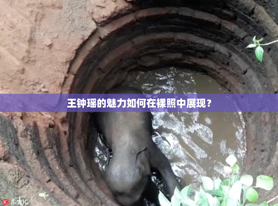 王钟瑶的魅力如何在裸照中展现？