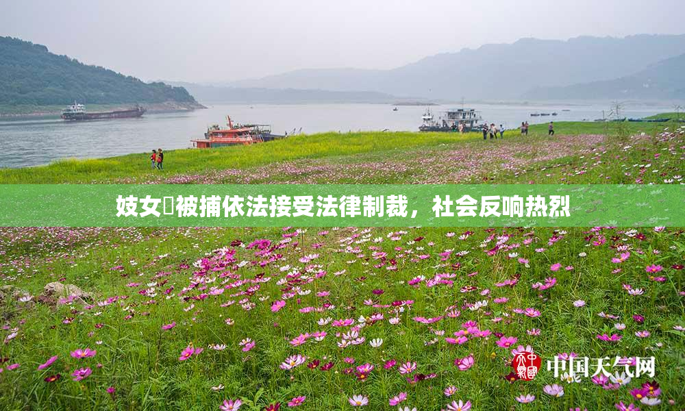 妓女梱被捕依法接受法律制裁，社会反响热烈