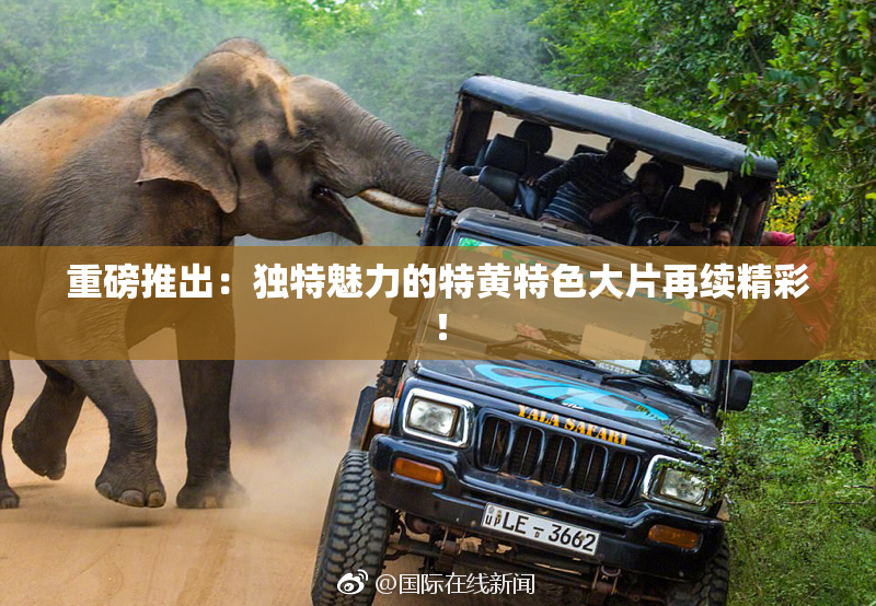 重磅推出：独特魅力的特黄特色大片再续精彩！