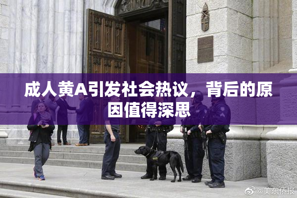 成人黄A引发社会热议，背后的原因值得深思