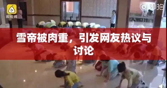 雪帝被肉重，引发网友热议与讨论