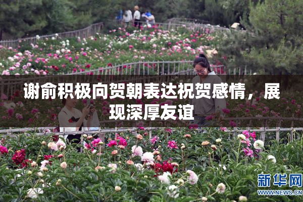 谢俞积极向贺朝表达祝贺感情，展现深厚友谊