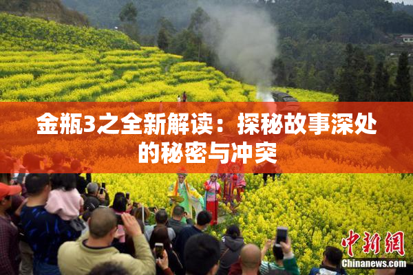 金瓶3之全新解读：探秘故事深处的秘密与冲突