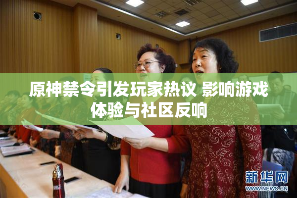 原神禁令引发玩家热议 影响游戏体验与社区反响