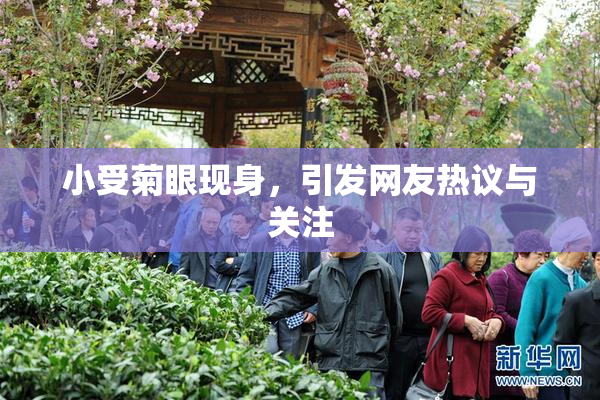 小受菊眼现身，引发网友热议与关注