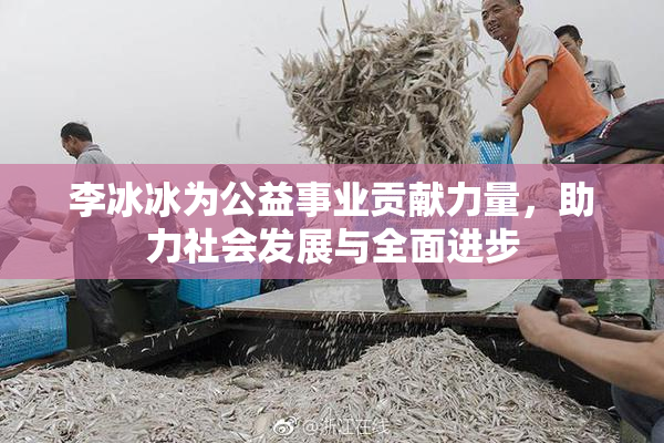 李冰冰为公益事业贡献力量，助力社会发展与全面进步