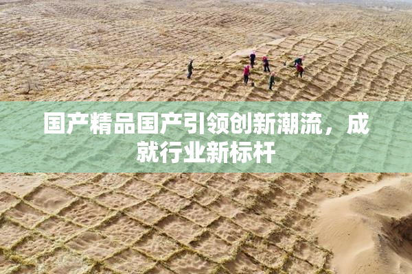 国产精品国产引领创新潮流，成就行业新标杆
