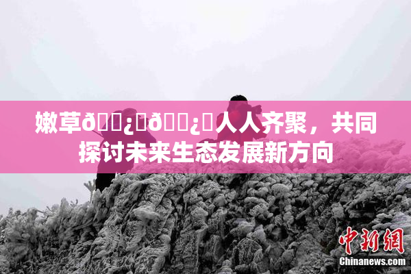 嫩草🌿‌🌿‌人人齐聚，共同探讨未来生态发展新方向