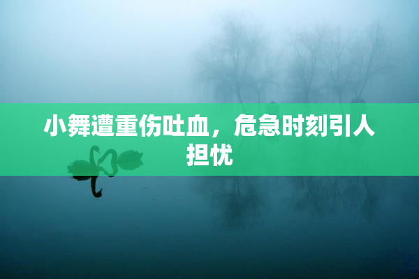 小舞遭重伤吐血，危急时刻引人担忧